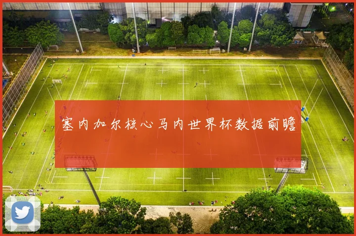 塞内加尔核心马内世界杯数据前瞻