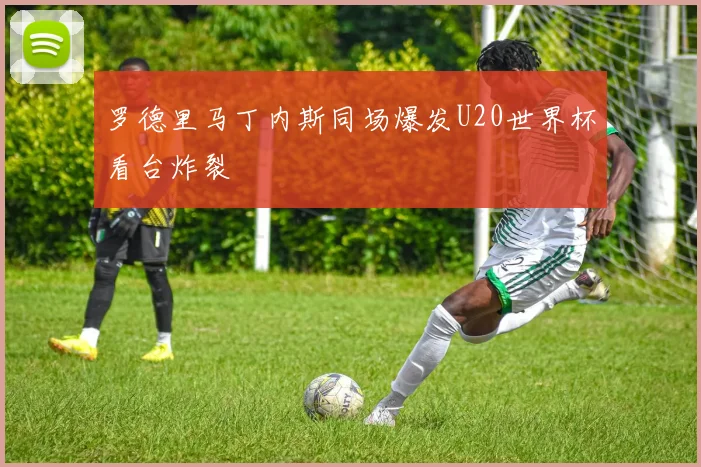 罗德里马丁内斯同场爆发U20世界杯看台炸裂
