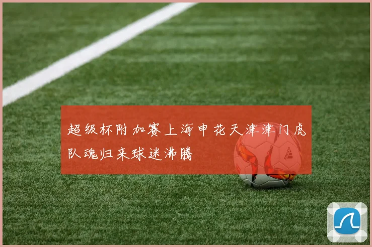 超级杯附加赛上海申花天津津门虎队魂归来球迷沸腾
