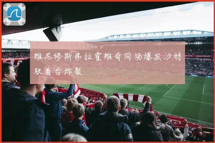 维尼修斯弗拉霍维奇同场爆发沙特联看台炸裂