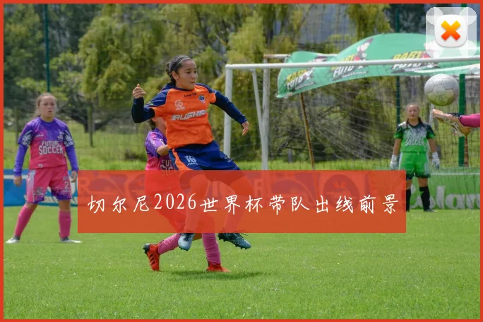 切尔尼2026世界杯带队出线前景