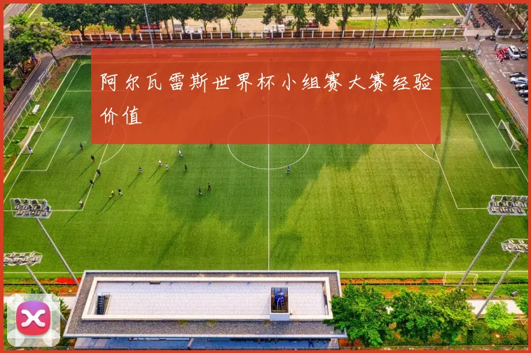 阿尔瓦雷斯世界杯小组赛大赛经验价值