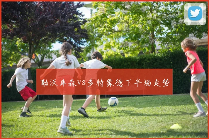 勒沃库森vs多特蒙德下半场走势