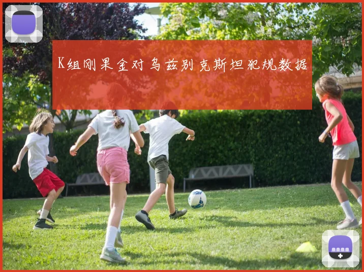 K组刚果金对乌兹别克斯坦犯规数据