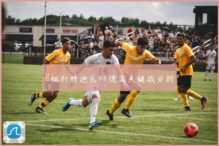 E组科特迪瓦vs德国关键战分析