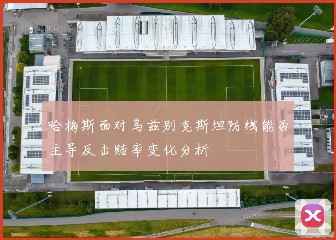 哈梅斯面对乌兹别克斯坦防线能否主导反击赔率变化分析